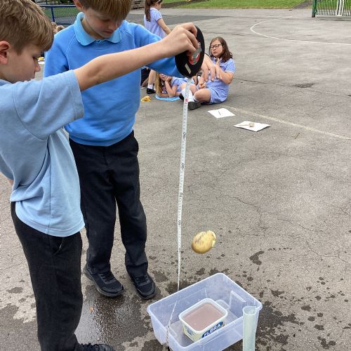 Transition Day- Potato Olympics